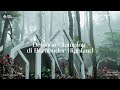 Sejuk & Tenang di Tengah Hutan Pinus - Deloano Glamping