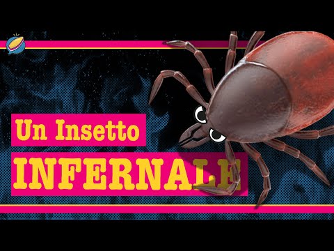 La Piaga Delle ZECCHE | Cosa Fare?