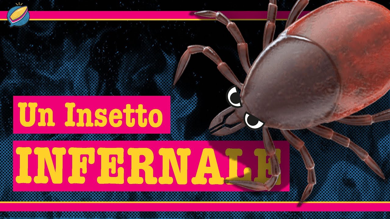 La Piaga Delle ZECCHE | Cosa Fare?