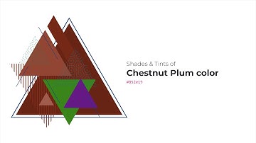 Shades & Tints of Chestnut Plum color #852e19 A Warm Red color #762816 #672313 #924532 #a05c4c