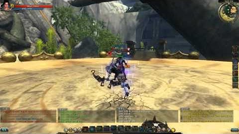 C9 Assassin pvp (1 vs 1) High level player