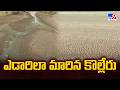 Ecosystem Collapse and The Disappearing Wildlife! | ఎడారిలా మారిన కొల్లేరు - TV9