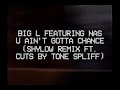Big L Nas U Ain T Gotta Chance Shylow Remix Ft Cuts By Tone Spliff mp3