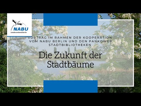 Video: Baumann Rosskastanie Info: Anbau einer Baumann Rosskastanie