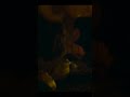 حلقة 6 من بطل ضعيف جزء 2 Weak Hero Class 