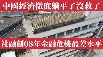 中國經濟徹底躺平了！貸款斷崖式崩塌！社融創08年金融危機以來最差水平。金融系統靠造假續命，幽靈貸款爆炸蔓延，比我們想像的更恐怖。居民貸款負成長，房地產徹底死透了！銀行體系300萬億資產背後，是爆雷前夕