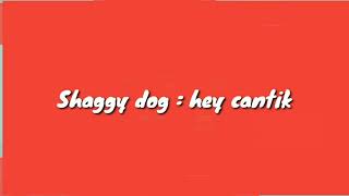Shaggy dog = Hey Cantik ( Lirik )