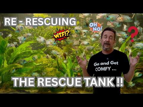 Re-Rescuing My Mates Rescue Tank...