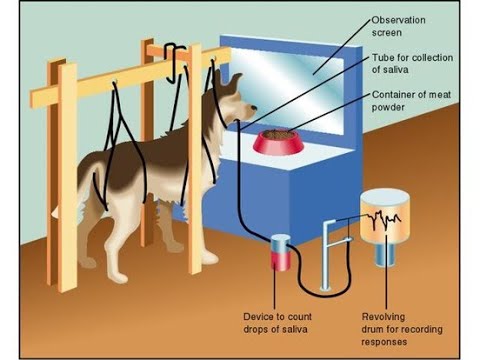 Methods in Classical Conditioning