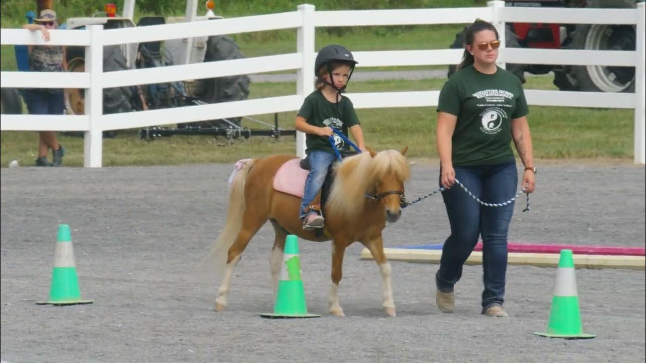 Penn State Ag Progress Days 2022....minature ponies. YouTube