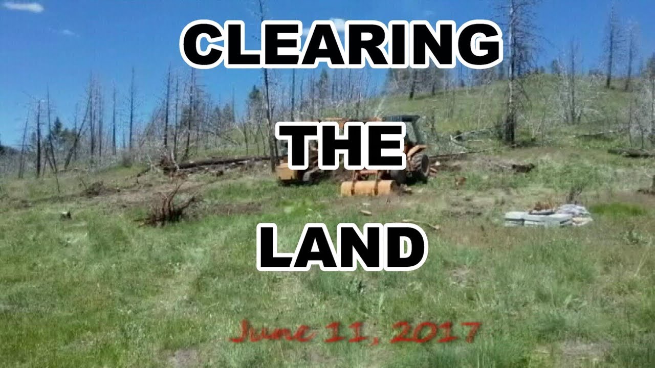 Off Grid Home Build in The Mountains of Montana - YouTube