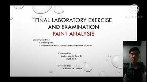 PAINT ANALYSIS (DISCUSSION)