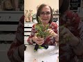 Carrots from finials