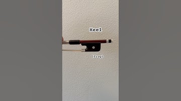 Wooden stick anatomy! #cello #anatomy #funfacts #music #musician #cellist #instrument #didyouknow