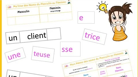 Che cosa sono i sostantivi in francese?