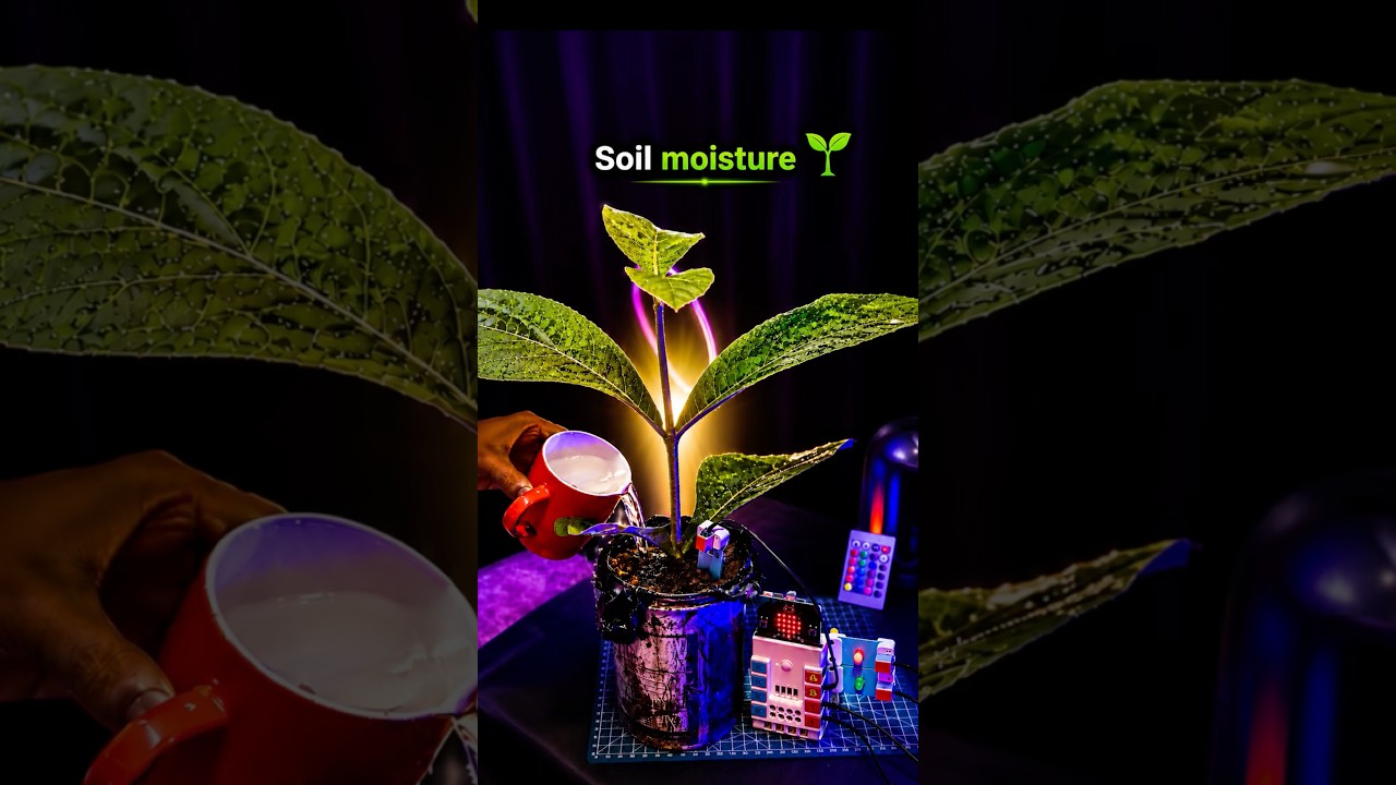 Smart Plant Watering Device 🔥 | #bituexperiment