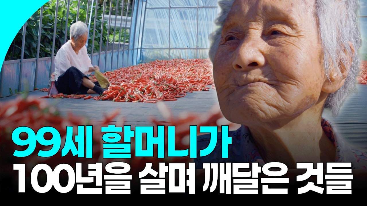 '아흔아홉 번의 봄은 거저 오지 않는다'… 99세 할머니가 100년을 살며 배운 것들 | KBS 260103 방송