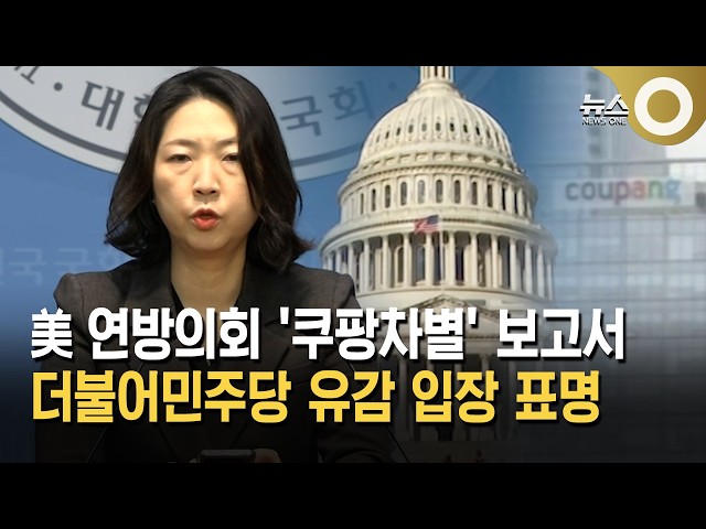 민주당 "미 의회 '쿠팡차별' 보고서 유감…심각히 왜곡"