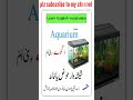 learn English vocabulary #shorts #viral #vocabulary