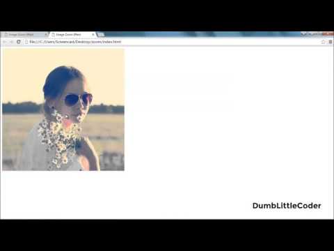 Scale on Hover with CSS3 Transition | Tutorials in Hindi