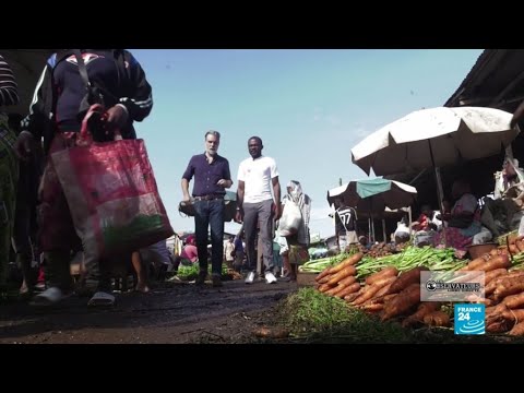 Produce To Feed Solutions From Our Observers In Cameroon