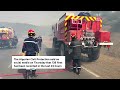 Wildfire in Algeria sparks flames as crews respond