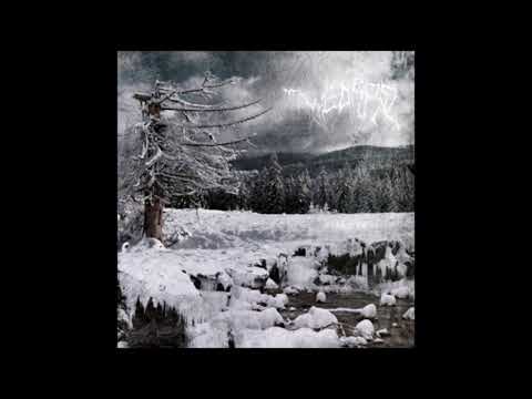 Wedard — Wedard – Eiskrieg II