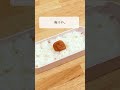 梅干しや酢で抗菌力UP【お弁当を傷みにくくする対策】