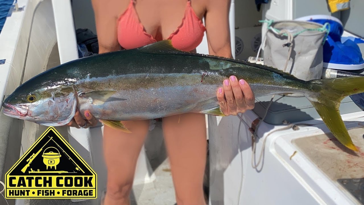 My Biggest Yellowtail Kingfish on a Handliner at Struisbaai CATCH COOK