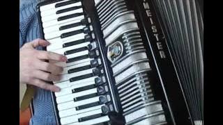 Bulgarian teacher by accordion reveals the secrets of folk music