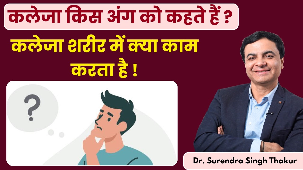 कलेजा क्या होता है और शरीर में इसकी भूमिका | Which Organ Is Called Kaleja - कलेजे की सोनोग्राफी ?