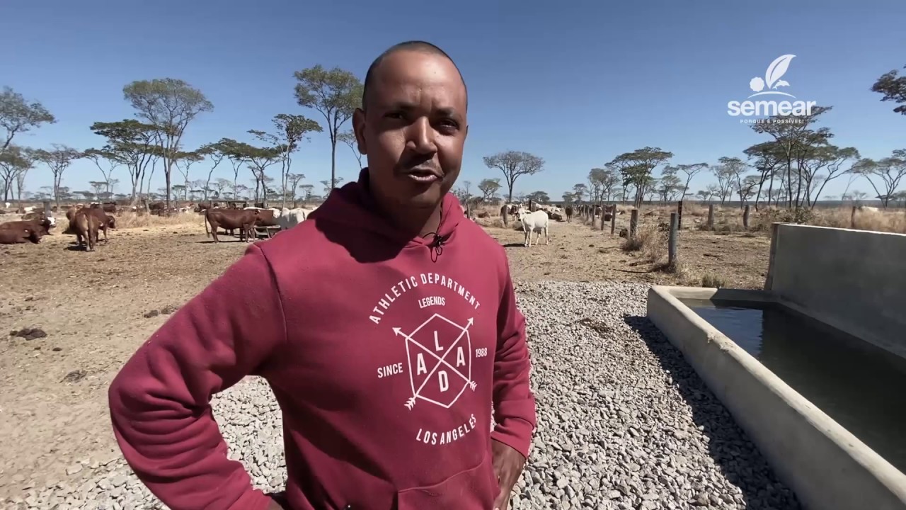 SEMEAR_A_Fazenda Mumba Huíla