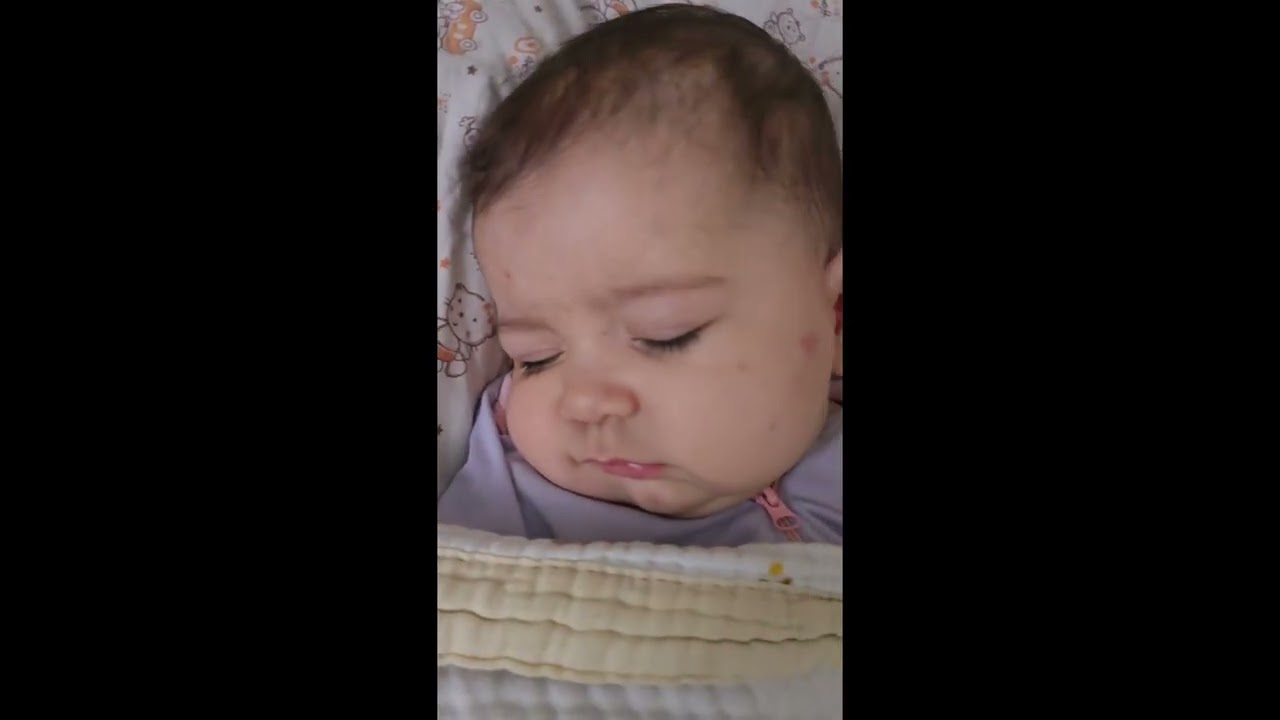 Из одного ПОЛУГОВНАДОМА🤬 -переехали в другой ГОВНОДОМ🤬‼️ 