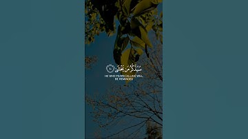 { فذكر إن نفعت الذكرى } | القارئ عبد الرحمن مسعد | مقاطع قرآن قصيرة وحالات واتس إسلامية 🌱