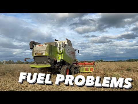 Day553 #OLLYBLOGS PROJECT MERLO LOOKING GOOD LEXION FUEL FILTER PROBS #AnswerAsAPercent