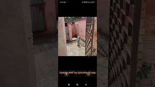 Update AMF by Epicollect5 app