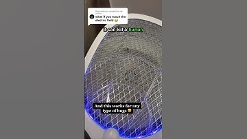 What If You Touch The Eletric Field?  #mosquito #homeshell