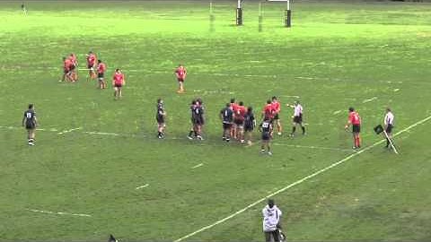 Referee Lineout.mov