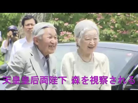 天皇皇后両陛下　作家のC.W.ニコルさんが保護する森を視察される