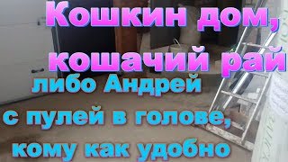 Кошачий дом, кошачий рай - либо Андрей с пулей в голове Кошачий дом, кошачий рай - либо Андрей с пулей в голове