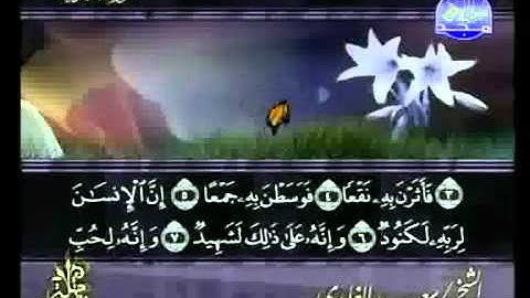 سورة العاديات كاملة الشيخ سعد الغامدي