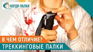 Треккинговые палки: в чем отличие от палок для скандинавской ходьбы