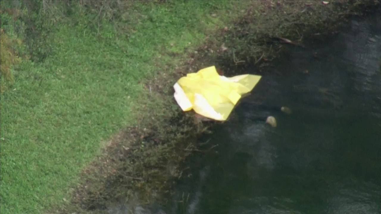 Body pulled from lake in Pembroke Pines - YouTube
