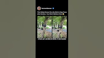 This Robot Drone Fly Like Bird & Hug Trees Like Geckos. Know How 😱 #robot #drone #shorts #facts