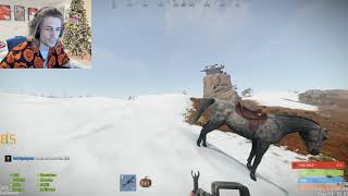 XQC actually "chat sniping" to defend his base from raiding - xqcow
