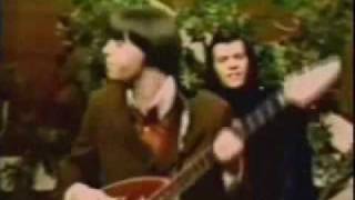 Pushin Too Hard -The Seeds (1967) chords