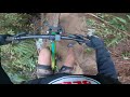 Deadwood mountain bike track -Dargaville