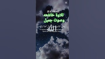 تلاوة خاشعه وصوت جميل #حور #muslimah #اكسبلور #دويتو #تيك_توك #duet #لايك #muslim #muslims #قرآن