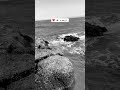 The first time I went fishing in the sea