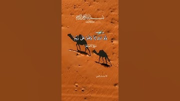 سورة الأنعام قرأن كريم بصوت جميل